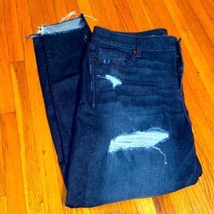 Lane Bryant Skinny Jeans